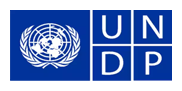 United Nations Development Programme's (UNDP)